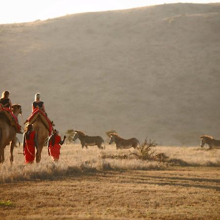 מלון Timau Elewana Lewa Safari Camp מראה חיצוני תמונה