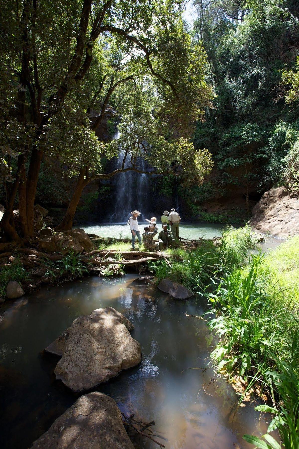 מלון Timau Elewana Lewa Safari Camp מראה חיצוני תמונה