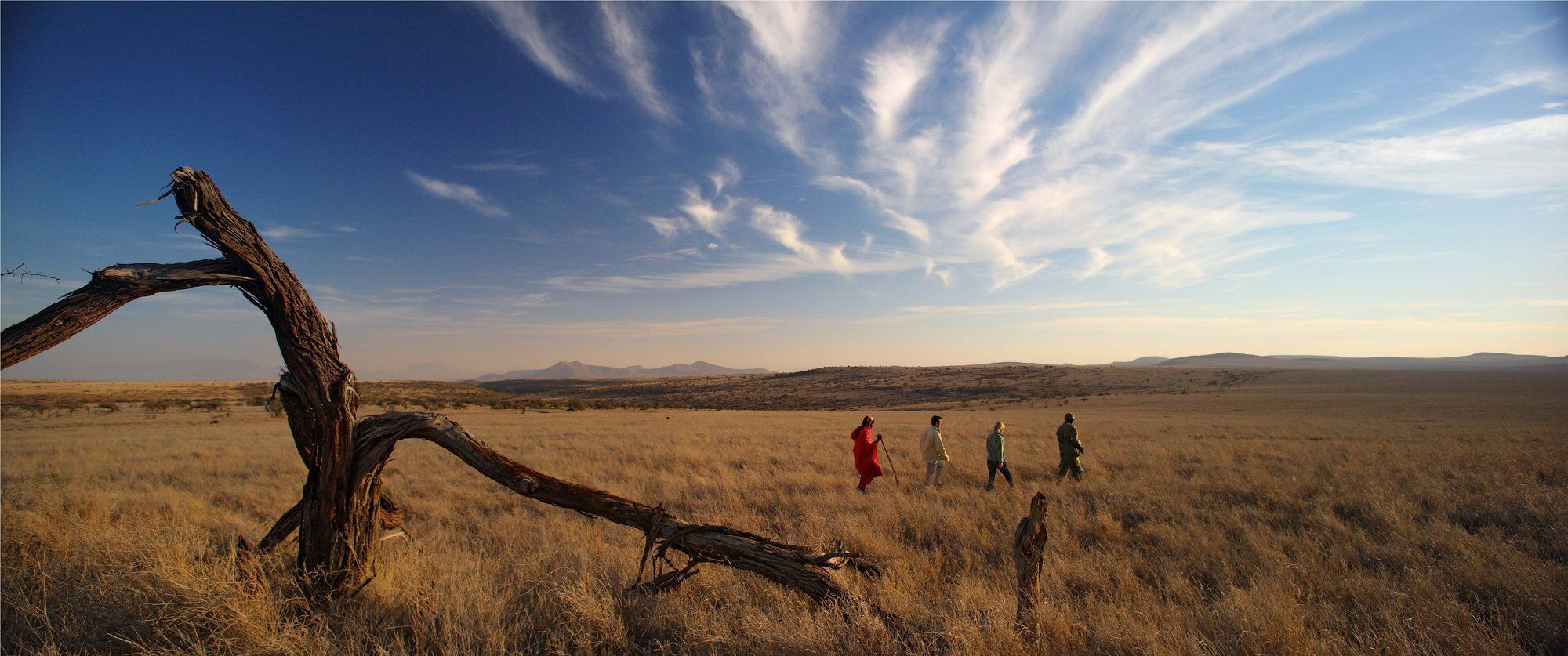 מלון Timau Elewana Lewa Safari Camp מראה חיצוני תמונה