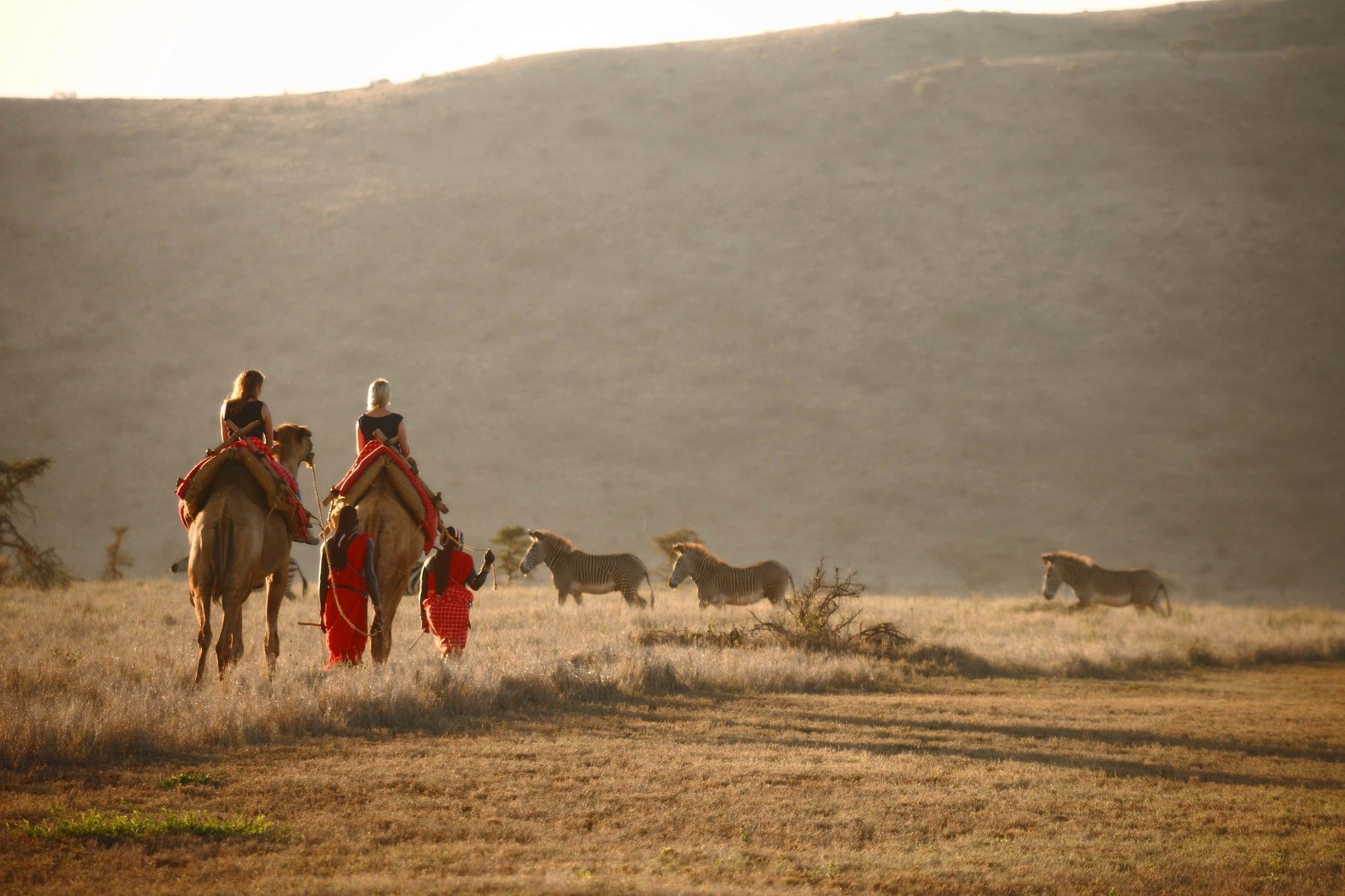 מלון Timau Elewana Lewa Safari Camp מראה חיצוני תמונה