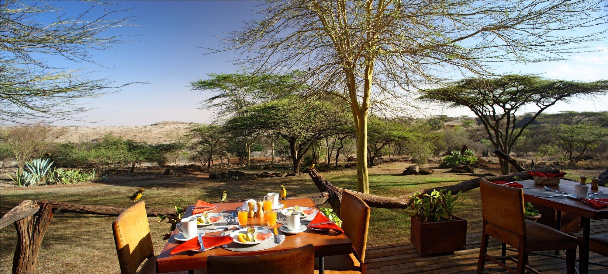 מלון Timau Elewana Lewa Safari Camp מראה חיצוני תמונה
